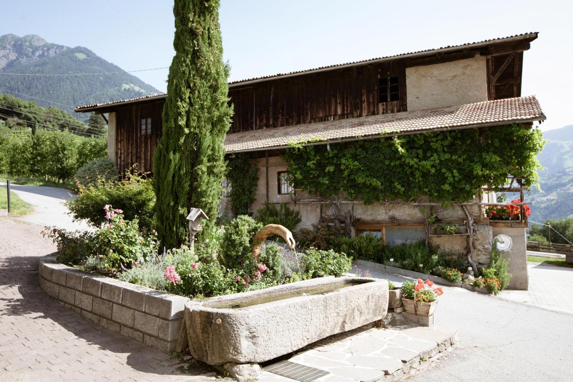 Noessinghof Bed & Breakfast Tirolo Dış mekan fotoğraf